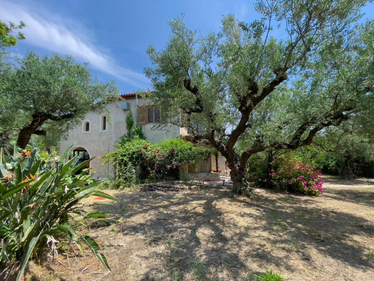 Villa Anta House By The Sea Lithakia  Екстер'єр фото