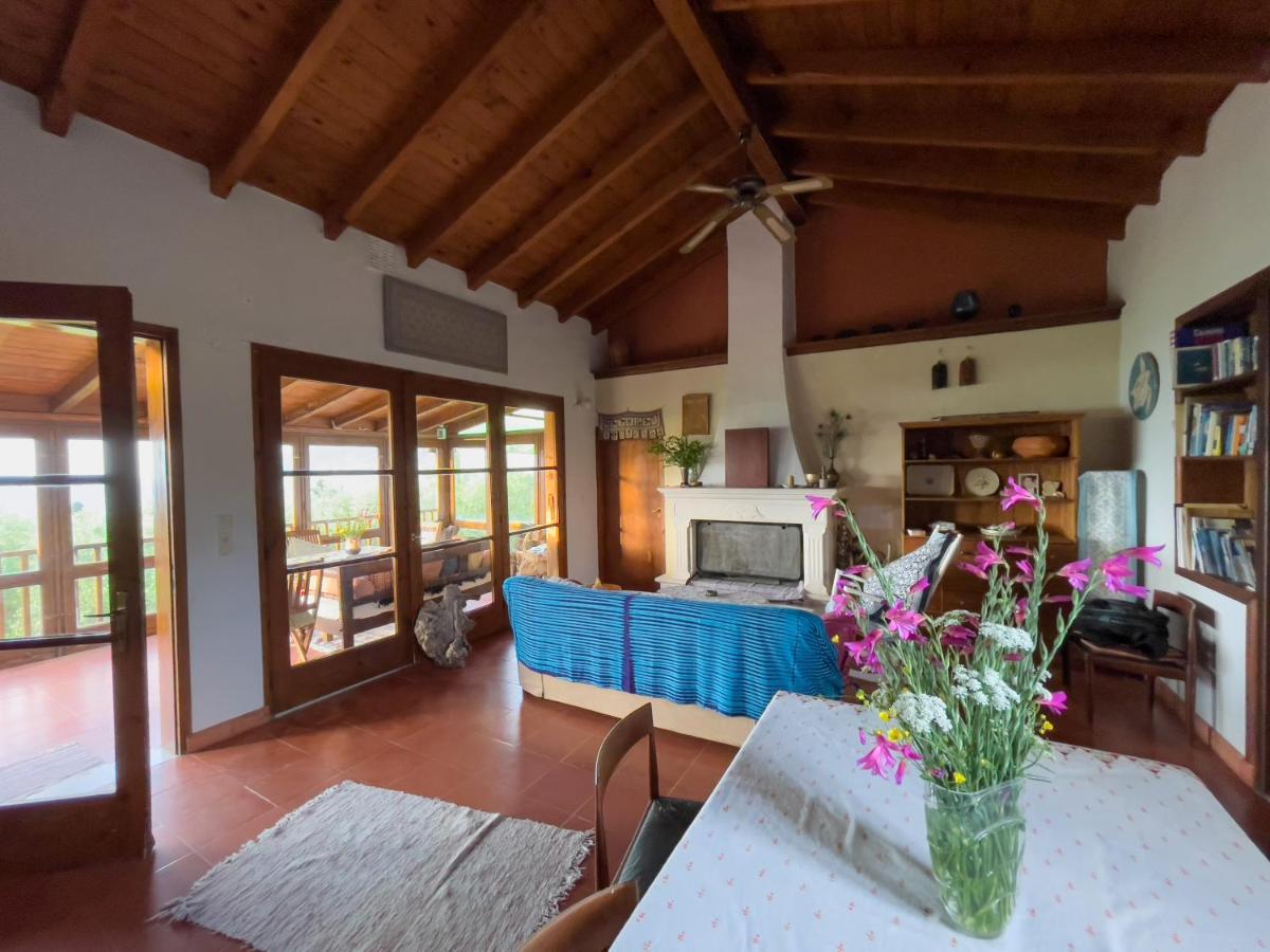 Villa Anta House By The Sea Lithakia  Екстер'єр фото
