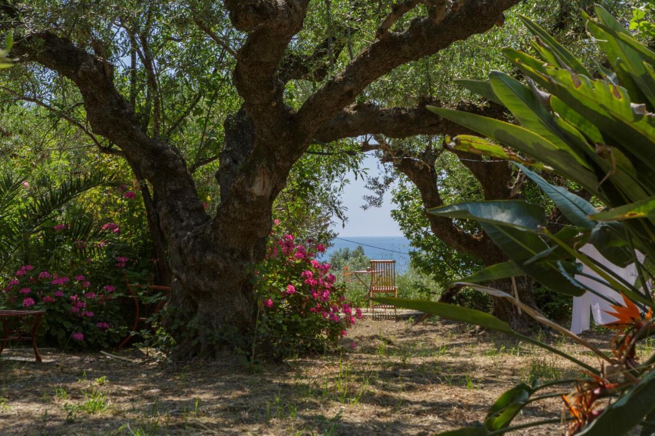 Villa Anta House By The Sea Lithakia  Екстер'єр фото