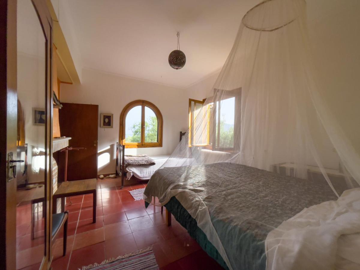 Villa Anta House By The Sea Lithakia  Екстер'єр фото