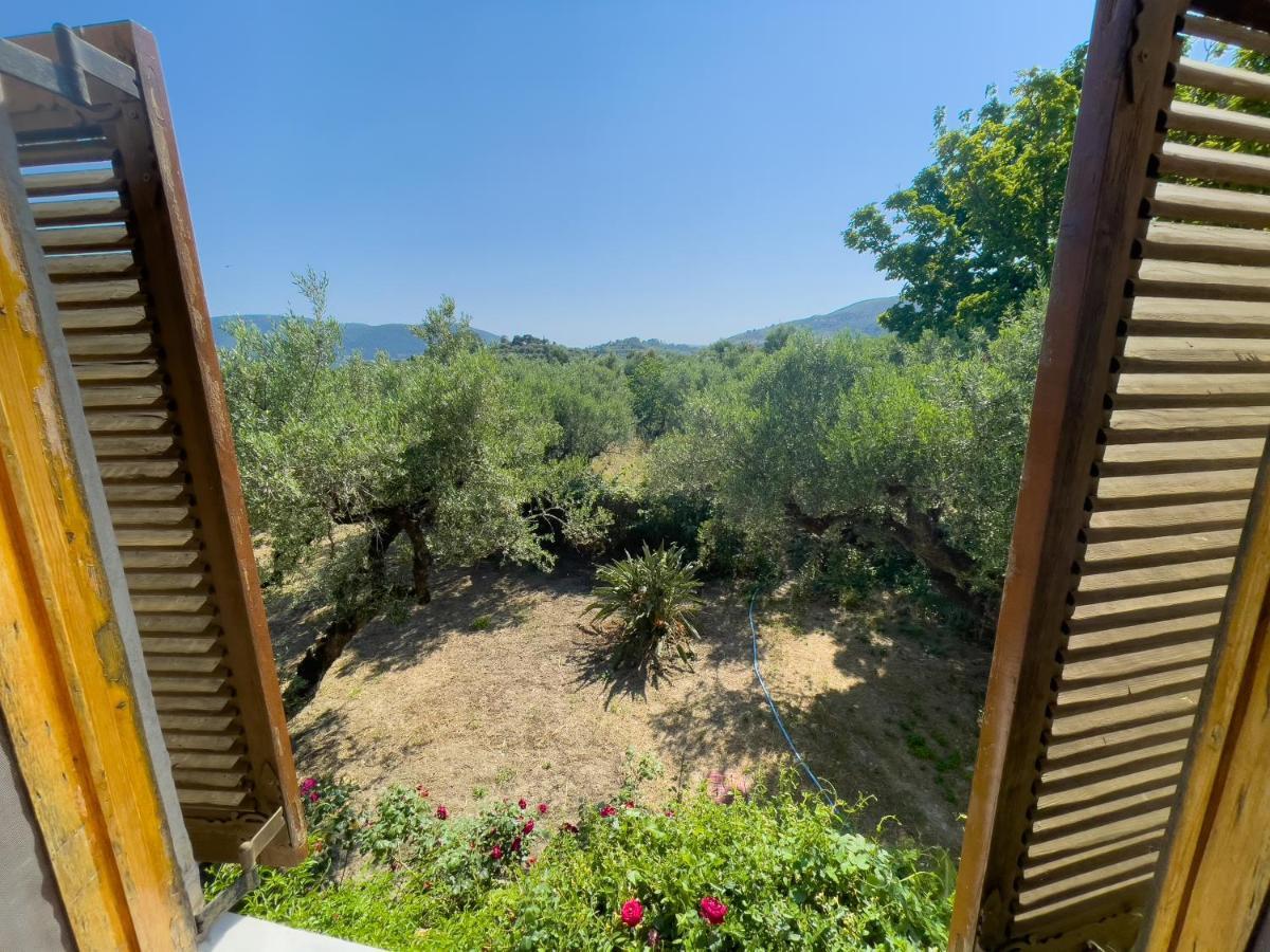 Villa Anta House By The Sea Lithakia  Екстер'єр фото