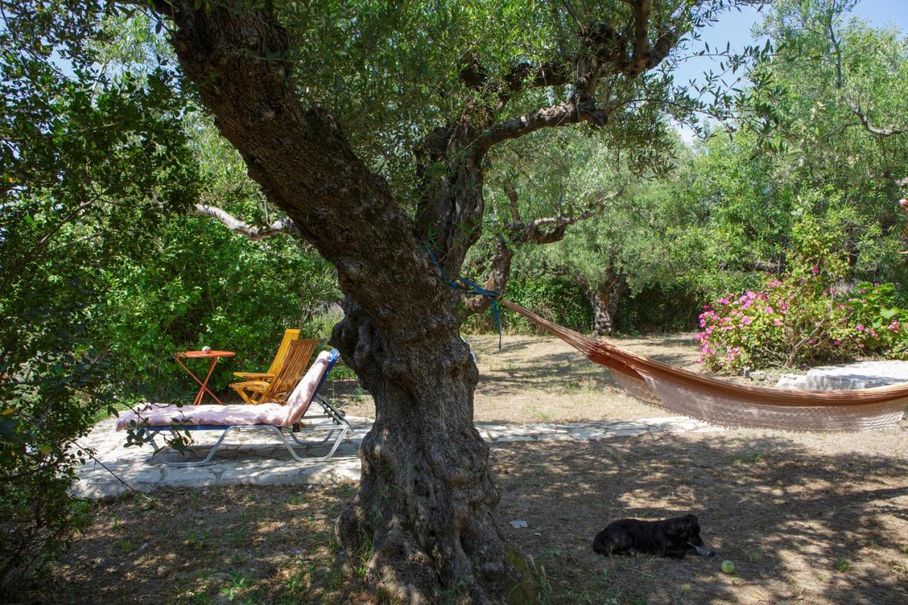 Villa Anta House By The Sea Lithakia  Екстер'єр фото